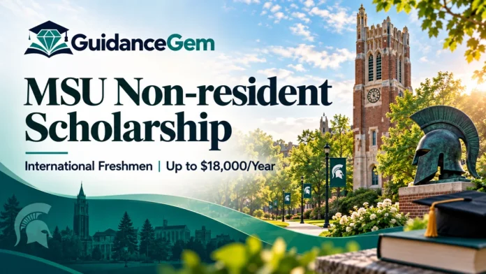 MSU Non-resident Scholarship